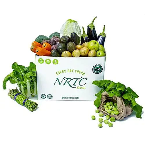 Power Plant Box 10kg